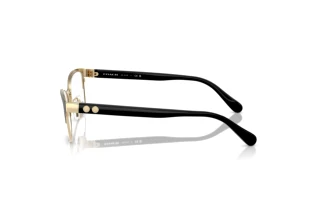 Seitenansicht Coach HC5176 (9435)