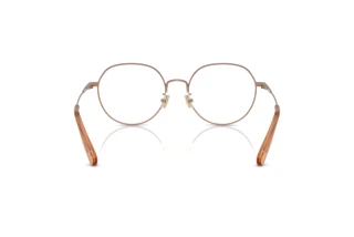 Rückansicht Coach HC5180TD (9414)