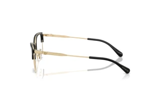 Seitenansicht Coach HC5184 (9428)