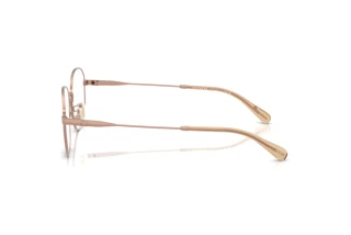 Seitenansicht Coach HC5187D (9414)