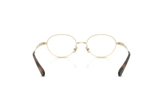 Rückansicht Coach HC5189TD (9005)