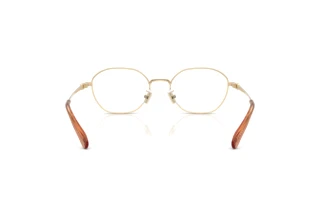 Rückansicht Coach HC5194TD (9005)