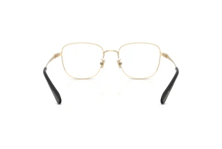 Rückansicht Coach HC5198TD (9005)