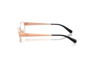 Seitenansicht Coach HC5201 (9407)