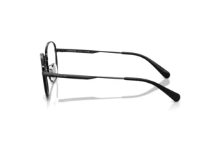 Seitenansicht Coach HC5203 (9393)