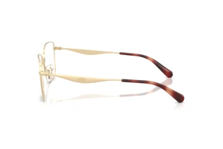 Seitenansicht Coach HC5205 (9005)