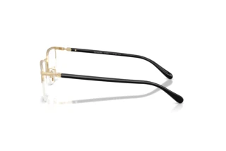 Seitenansicht Coach HC5208TD (9476)