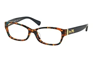 Coach HC 6078 5337