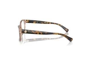 Seitenansicht Coach HC6082 (5561)