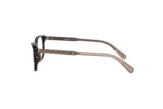 Seitenansicht Coach HC6143 (5120)