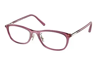 Coach HC6191BD 5677 Transparent Dark  Mauve