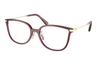 Coach HC6214D 5721 Transparent Burgundy