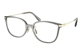 Coach HC6214D 5751 Transparent Grey
