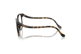 Seitenansicht Coach HC6218U (5120)