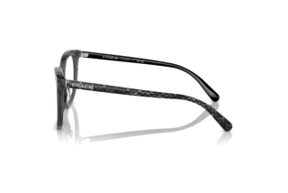 Seitenansicht Coach HC6223U (5785)