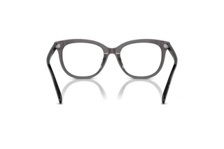 Rückansicht Coach HC6223U (5785)