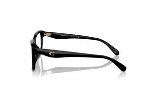 Seitenansicht Coach HC6231U (5002)