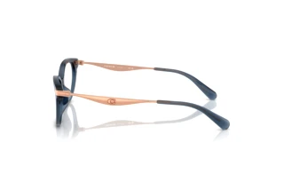 Seitenansicht Coach HC6245U (5846)