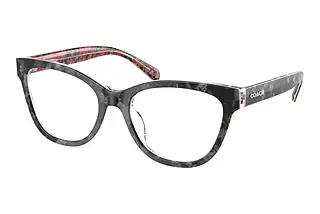 Coach HC6249U 5856 Black Tortoise/Pink Floral