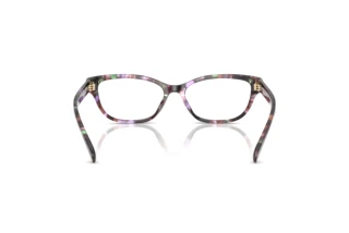 Rückansicht Coach HC6250U (5843)