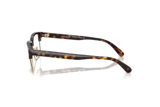 Seitenansicht Coach HC6253 (5120)