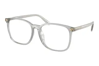 Coach HC6254BD 5614 Transparent Dove