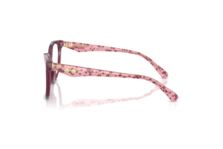 Seitenansicht Coach HC6259U (5954SB)