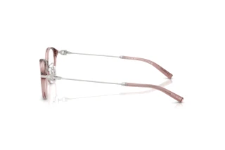 Seitenansicht Coach HC6268D (5568)