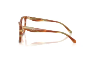 Seitenansicht Coach HC6274U (5898)