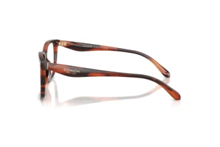 Seitenansicht Coach HC6276U (5906)