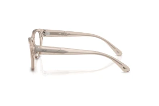 Seitenansicht Diesel DL4001 (2007)