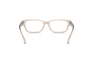 Rückansicht Diesel DL4002 (2007)