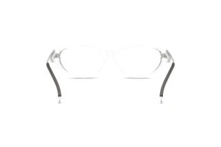 Rückansicht Diesel DL4004 (2005)