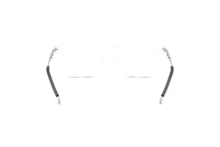 Rückansicht Diesel DL4007 (2005)