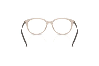 Rückansicht Diesel DL4007 (2007)