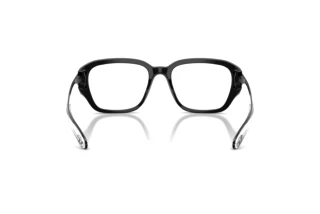 Rückansicht Diesel DL4009 (2001)