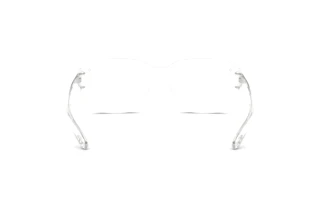 Rückansicht Diesel DL4009 (2005)