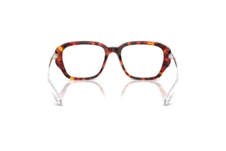 Rückansicht Diesel DL4009 (2023)