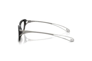 Seitenansicht Diesel DL4012 (2017)