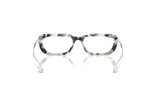 Rückansicht Diesel DL4012 (721)