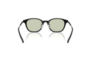 Rückansicht Diesel DL4013D (2063)