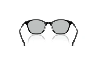 Rückansicht Diesel DL4013D (2064)