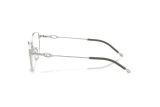 Seitenansicht Diesel DL5003 (1001)