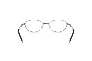 Rückansicht Diesel DL5004D (1028)