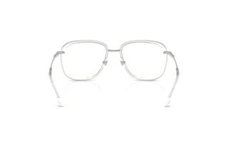 Rückansicht Diesel DL5009 (1001)