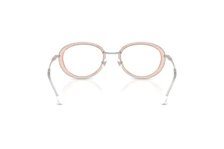 Rückansicht Diesel DL5010 (1042)