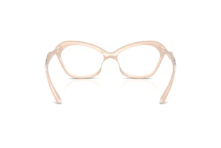 Rückansicht Diesel DL6003U (2034)