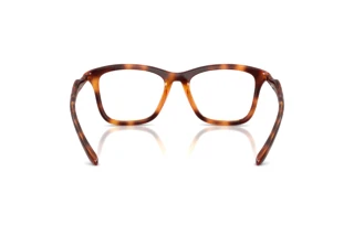 Rückansicht Diesel DL6004U (2003)