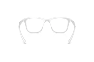 Rückansicht Diesel DL6004U (2029)