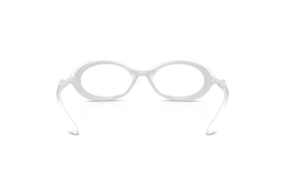 Rückansicht Diesel DL6005U (2029)